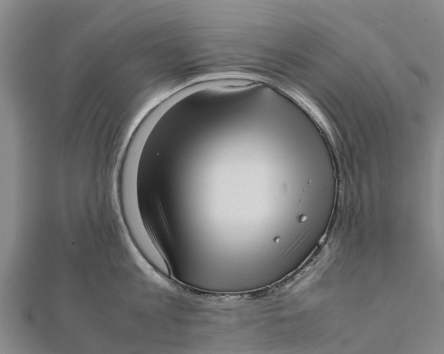 X0000111530813200908041303