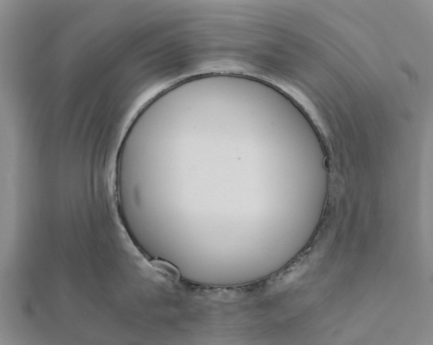 X0000111530815200908041303