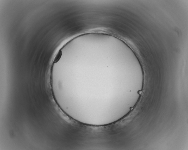 X0000111530816200908041303