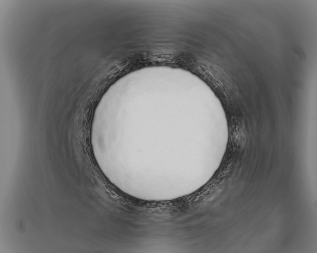 X0000111530817200908041303