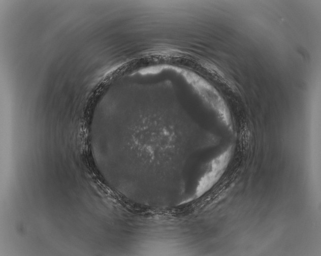 X0000111530822200908041303