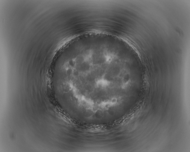 X0000111530823200908041303