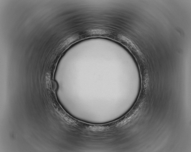 X0000111530825200908041303