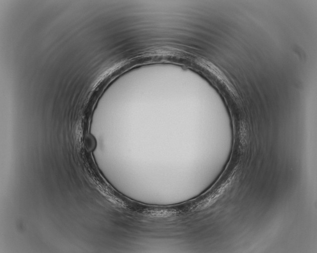 X0000111530826200908041303