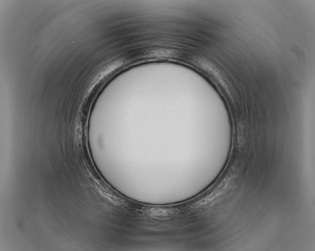 X0000111530827200908041303