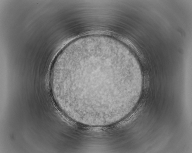 X0000111530828200908041303