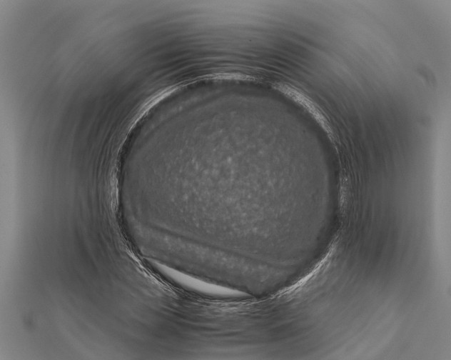 X0000111530829200908041303