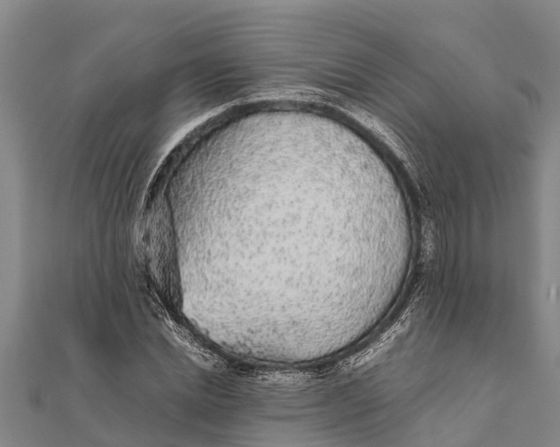 X0000111530830200908041303