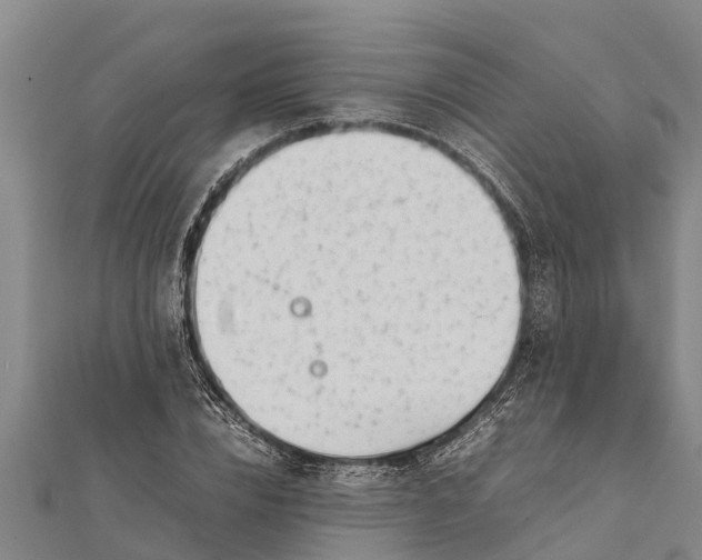 X0000111530832200908041303