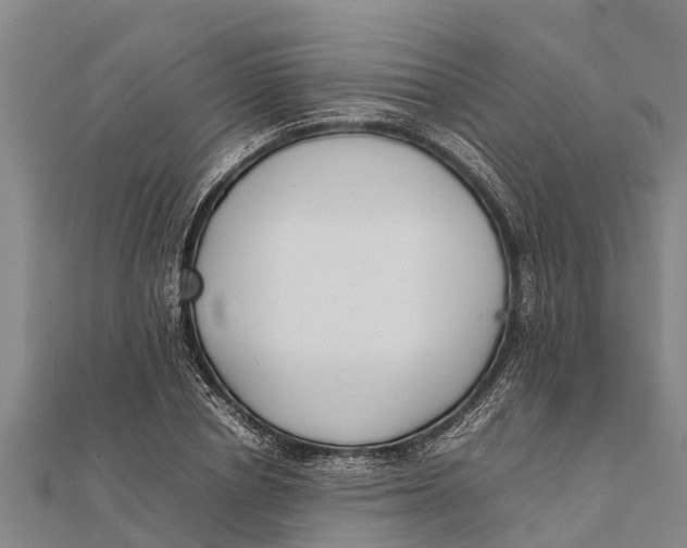 X0000111530834200908041303