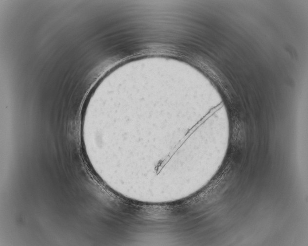 X0000111530836200908041303