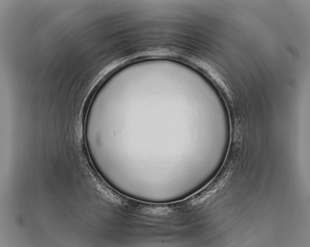 X0000111530837200908041303