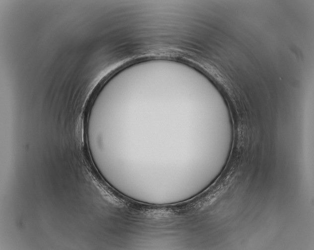 X0000111530838200908041303