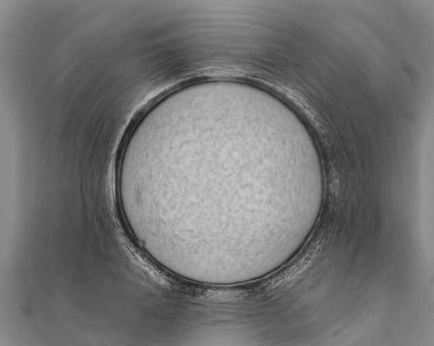 X0000111530840200908041303