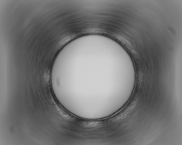 X0000111530841200908041303