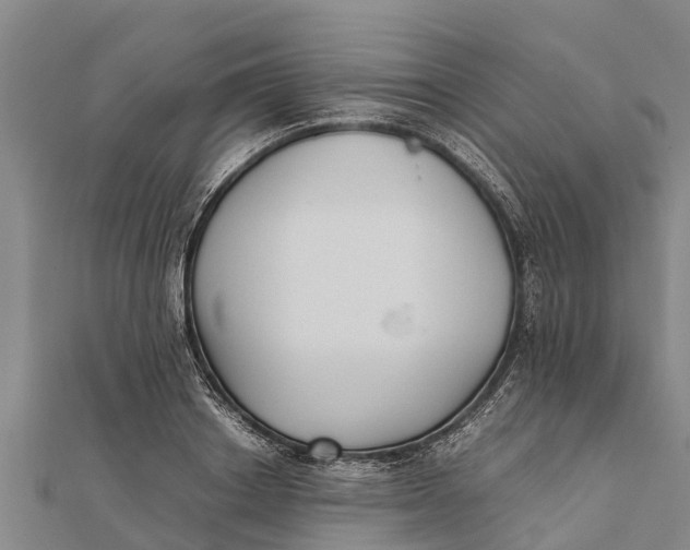 X0000111530842200908041303