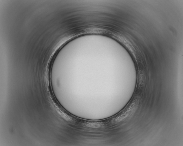 X0000111530843200908041303