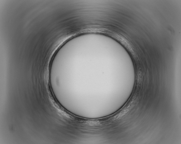 X0000111530844200908041303