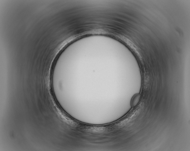 X0000111530845200908041303