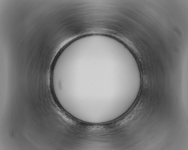 X0000111530846200908041303