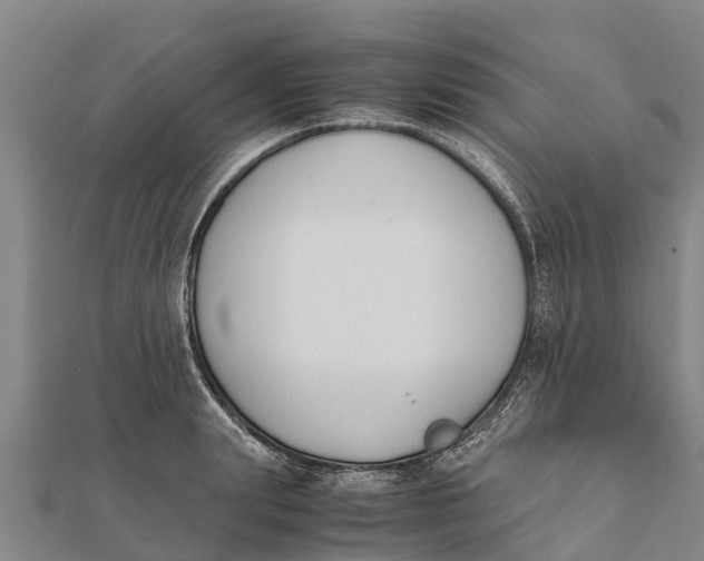 X0000111530847200908041303