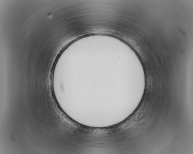 X0000111530848200908041303