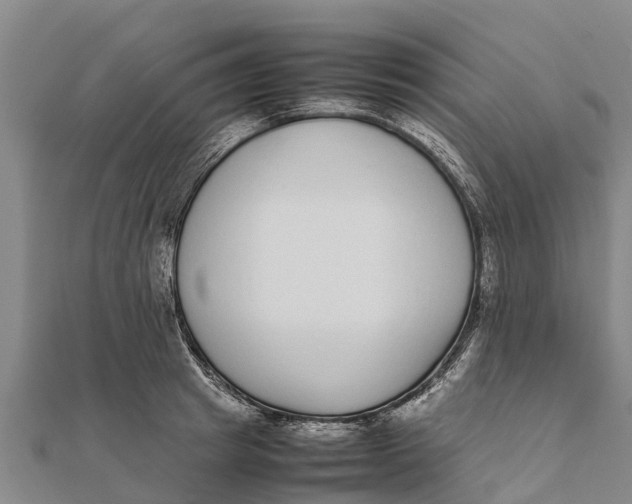 X0000111530849200908041303