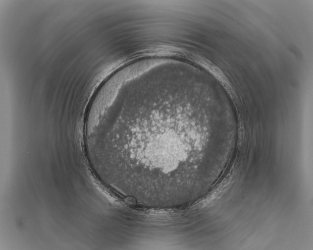 X0000111530850200908041303