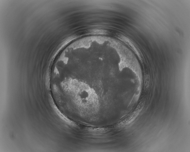 X0000111530851200908041303