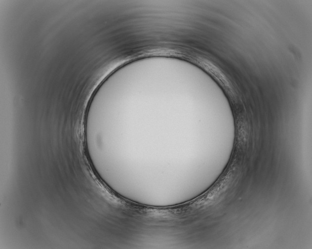 X0000111530852200908041303