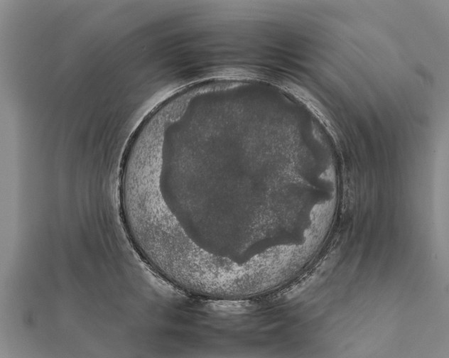 X0000111530853200908041303