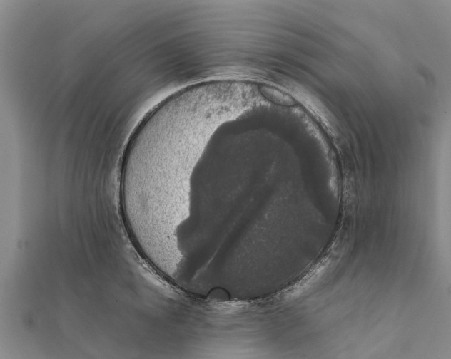 X0000111530854200908041303