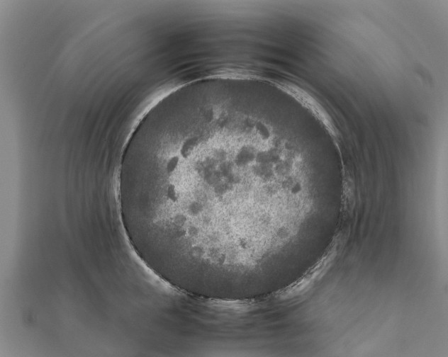 X0000111530855200908041303