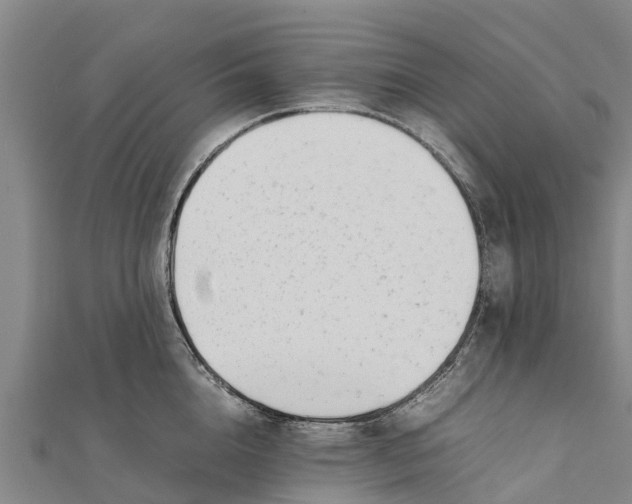 X0000111530856200908041303