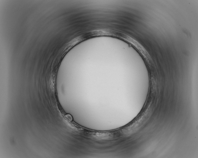 X0000111530857200908041303