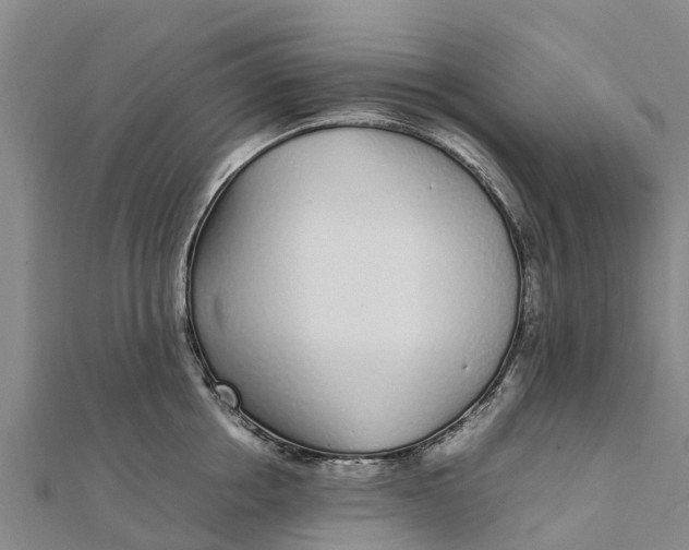 X0000111530858200908041303