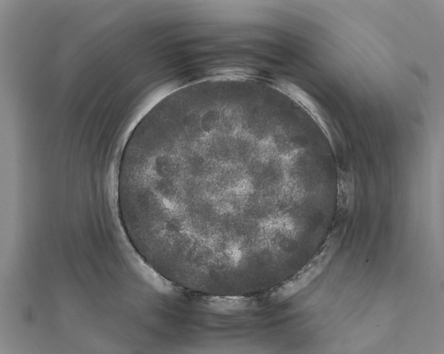 X0000111530859200908041303