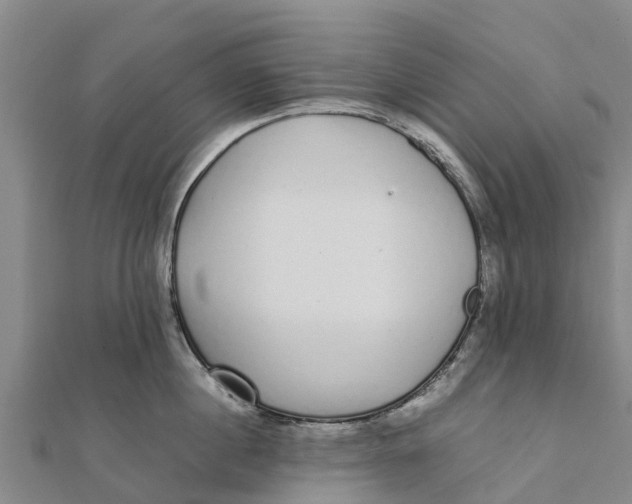 X0000111530860200908041303