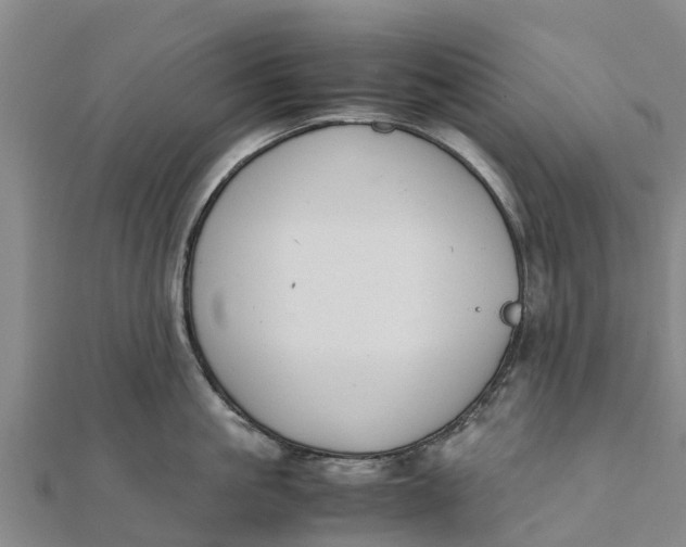 X0000111530861200908041303