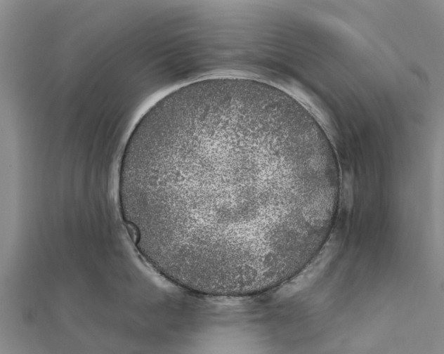 X0000111530862200908041303