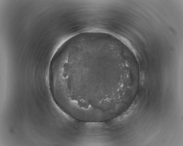 X0000111530863200908041303