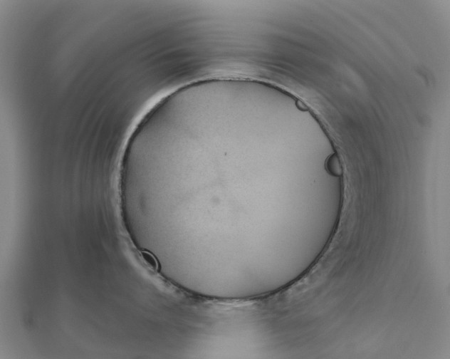 X0000111530864200908041303