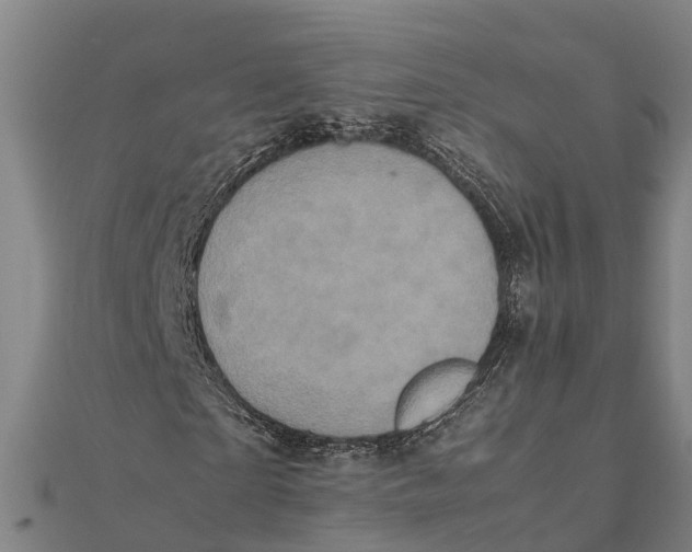 X0000111530865200908041303