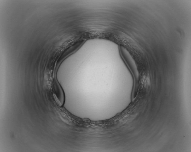 X0000111530868200908041303