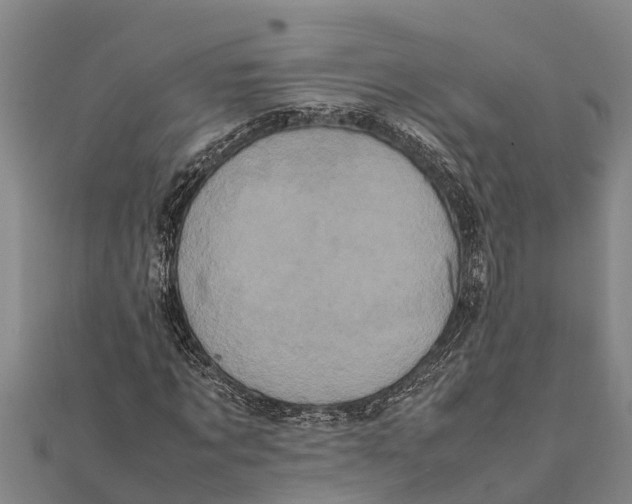 X0000111530869200908041303