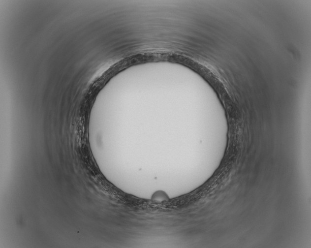 X0000111530871200908041302