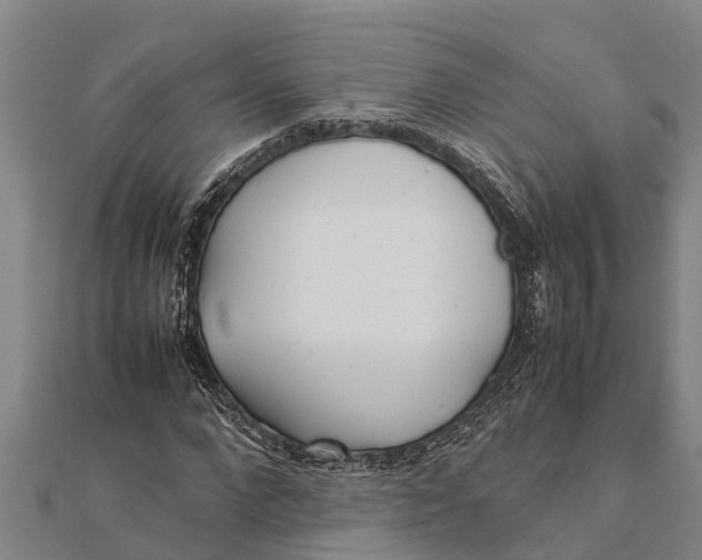 X0000111530872200908041302