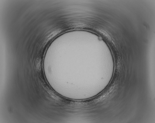 X0000111530873200908041302