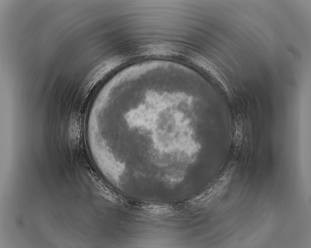 X0000111530874200908041302