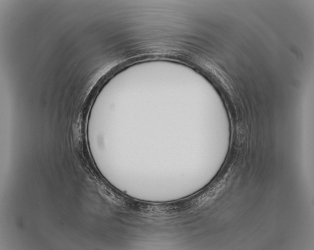 X0000111530875200908041302